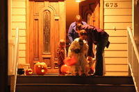 Canon EOS REBEL T2i, 2013:10:31 19:51:07 -- 1/5 sec, f/5.6.  No Flash, Compulsory.3456x2304 Off.