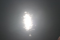 Canon EOS REBEL T2i, 2013:11:16 10:42:59 -- 1/500 sec, f/11.0.  No Flash, Compulsory.3456x2304 Off.