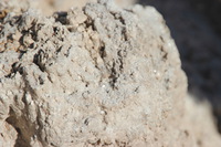 Canon EOS REBEL T2i, 2013:11:16 10:52:20 -- 1/500 sec, f/8.0.  No Flash, Compulsory.3456x2304 Off.