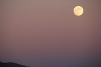 Canon EOS REBEL T2i, 2013:11:16 18:17:05 -- 1/320 sec, f/7.1.  No Flash, Compulsory.3456x2304 Off.