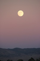 Canon EOS REBEL T2i, 2013:11:16 18:17:15 -- 1/400 sec, f/7.1.  No Flash, Compulsory.3456x2304 Off.