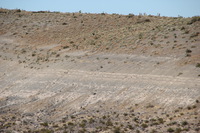 Canon EOS REBEL T2i, 2013:11:17 15:36:34 -- 1/400 sec, f/8.0.  No Flash, Compulsory.3456x2304 Off.