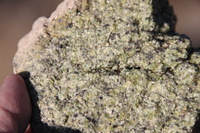 Canon EOS REBEL T2i, 2013:11:17 16:25:40 -- 1/400 sec, f/7.1.  No Flash, Compulsory.3456x2304 Off.