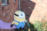 Canon EOS REBEL T2i, 2014:08:25 09:55:24 -- 1/40 sec, f/22.0.  Flash, Compulsory.5184x3456 Unknown.