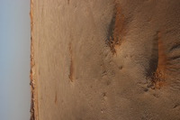 Canon EOS REBEL T2i, 2015:04:23 08:12:31 -- 1/60 sec, f/16.0.  No Flash, Compulsory.5184x3456 Off.