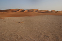Canon EOS REBEL T2i, 2015:04:23 08:13:26 -- 1/60 sec, f/16.0.  No Flash, Compulsory.5184x3456 Off.