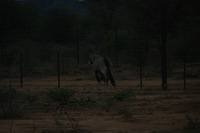 Canon EOS REBEL T2i, 2016:11:23 06:38:49 -- 1/1250 sec, f/6.3.  No Flash, Compulsory.5184x3456 Off.