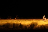 Canon EOS REBEL T2i, 2016:11:25 13:43:27 -- 8 sec, f/5.6.  No Flash, Compulsory.5184x3456 Off.