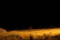 Canon EOS REBEL T2i, 2016:11:25 13:50:50 -- 30 sec, f/5.6.  No Flash, Compulsory.5184x3456 Off.