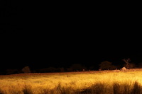 Canon EOS REBEL T2i, 2016:11:25 13:51:49 -- 30 sec, f/5.6.  No Flash, Compulsory.5184x3456 Off.