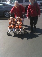 iPhone 3GS, 2011:10:29 12:20:39 -- 1/463 sec, f/2.8.  No Flash Function.2048x1536 