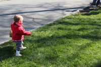 Canon EOS REBEL T2i, 2011:04:23 09:08:57 -- 1/125 sec, f/6.3.  No Flash, Compulsory.5184x3456 Off.