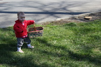 Canon EOS REBEL T2i, 2011:04:23 09:09:04 -- 1/125 sec, f/6.3.  No Flash, Compulsory.5184x3456 Off.