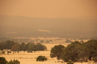 Canon EOS REBEL T2i, 2011:06:06 14:22:20 -- 1/200 sec, f/6.3.  No Flash, Compulsory.5184x3456 Off.