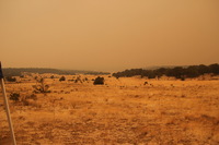 Canon EOS REBEL T2i, 2011:06:06 14:32:48 -- 1/80 sec, f/5.0.  No Flash, Compulsory.5184x3456 Off.