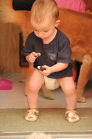 Canon EOS REBEL T2i, 2011:06:07 16:19:09 -- 1/125 sec, f/5.6.  No Flash, Compulsory.5184x3456 Off.