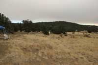 Canon EOS REBEL T2i, 2011:06:08 17:24:57 -- 1/80 sec, f/5.6.  No Flash, Compulsory.5184x3456 Off.