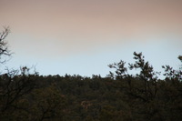 Canon EOS REBEL T2i, 2011:06:08 17:25:20 -- 1/400 sec, f/7.1.  No Flash, Compulsory.5184x3456 Off.