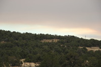 Canon EOS REBEL T2i, 2011:06:08 17:25:36 -- 1/125 sec, f/5.6.  No Flash, Compulsory.5184x3456 Off.