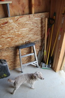 Canon EOS REBEL T2i, 2011:06:12 08:33:57 -- 1/50 sec, f/4.0.  No Flash, Compulsory.5184x3456 Off.