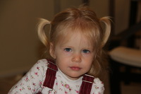 Canon EOS REBEL T2i, 2011:11:23 09:31:22 -- 1/60 sec, f/5.6.  Flash, Compulsory.5184x3456 Unknown.