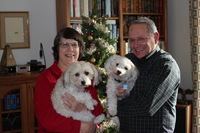 Canon EOS REBEL T2i, 2012:12:15 14:03:25 -- 1/125 sec, f/2.0.  Flash, Compulsory.3456x2304 Unknown.