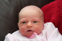 Canon EOS REBEL T2i, 2012:01:15 11:23:55 -- 1/60 sec, f/5.6.  Flash, Compulsory.5184x3456 Unknown.