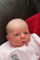 Canon EOS REBEL T2i, 2012:01:15 11:24:07 -- 1/60 sec, f/5.6.  Flash, Compulsory.5184x3456 Unknown.