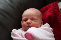 Canon EOS REBEL T2i, 2012:01:15 11:25:06 -- 1/125 sec, f/5.6.  No Flash.5184x3456 Off.