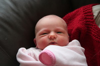 Canon EOS REBEL T2i, 2012:01:15 11:25:06 -- 1/125 sec, f/5.6.  No Flash.5184x3456 Off.