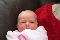 Canon EOS REBEL T2i, 2012:01:15 11:25:07 -- 1/60 sec, f/5.6.  Flash, Compulsory.5184x3456 Unknown.