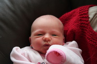 Canon EOS REBEL T2i, 2012:01:15 11:25:08 -- 1/125 sec, f/5.6.  No Flash.5184x3456 Off.
