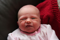 Canon EOS REBEL T2i, 2012:01:15 11:25:11 -- 1/160 sec, f/5.6.  No Flash.5184x3456 Off.