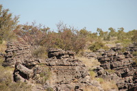 Canon EOS REBEL T2i, 2012:08:14 18:14:41 -- 1/400 sec, f/7.1.  No Flash, Compulsory.3456x2304 Off.