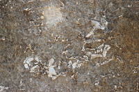 Canon EOS REBEL T2i, 2012:08:14 18:19:42 -- 1/60 sec, f/8.0.  Flash, Compulsory.3456x2304 Unknown.