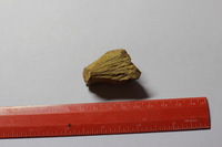 Canon EOS REBEL T2i, 2012:08:19 01:25:44 -- 1/40 sec, f/2.8.  No Flash, Compulsory.3456x2304 Off.