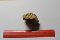 Canon EOS REBEL T2i, 2012:08:19 01:26:05 -- 1/50 sec, f/2.8.  No Flash, Compulsory.3456x2304 Off.