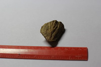 Canon EOS REBEL T2i, 2012:08:19 01:26:41 -- 1/50 sec, f/2.8.  No Flash, Compulsory.3456x2304 Off.