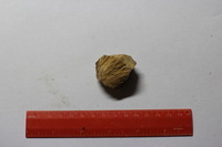 Canon EOS REBEL T2i, 2012:08:19 01:29:21 -- 1/50 sec, f/2.8.  No Flash, Compulsory.3456x2304 Off.