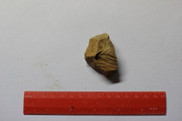 Canon EOS REBEL T2i, 2012:08:19 01:29:30 -- 1/50 sec, f/2.8.  No Flash, Compulsory.3456x2304 Off.
