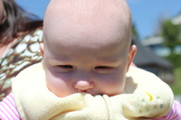Canon EOS REBEL T2i, 2012:05:19 11:04:42 -- 1/400 sec, f/7.1.  No Flash, Compulsory.5184x3456 Off.