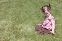 Canon EOS REBEL T2i, 2012:05:19 11:12:41 -- 1/200 sec, f/14.0.  Flash, Compulsory.5184x3456 Unknown.