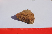 Canon EOS REBEL T2i, 2012:09:01 16:30:31 -- 1/60 sec, f/22.0.  No Flash, Compulsory.3456x2304 Off.