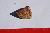 Canon EOS REBEL T2i, 2012:09:01 16:31:48 -- 1/60 sec, f/22.0.  No Flash, Compulsory.3456x2304 Off.