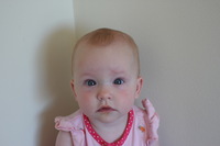 Canon EOS REBEL T2i, 2012:09:03 16:29:54 -- 1/100 sec, f/3.2.  No Flash.3456x2304 Off.