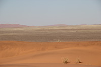Canon EOS REBEL T2i, 2013:08:10 05:02:47 -- 1/400 sec, f/9.0.  No Flash, Compulsory.3456x2304 Off.