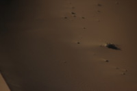 Canon EOS REBEL T2i, 2013:08:12 08:56:18 -- 1/1000 sec, f/6.3.  No Flash, Compulsory.3456x2304 Off.