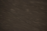 Canon EOS REBEL T2i, 2013:08:12 09:06:14 -- 1/1000 sec, f/6.3.  No Flash, Compulsory.3456x2304 Off.