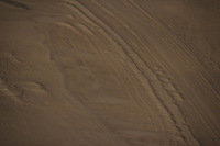 Canon EOS REBEL T2i, 2013:08:12 09:08:51 -- 1/1000 sec, f/6.3.  No Flash, Compulsory.3456x2304 Off.