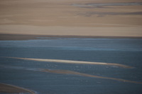 Canon EOS REBEL T2i, 2013:08:12 09:09:56 -- 1/1000 sec, f/6.3.  No Flash, Compulsory.3456x2304 Off.